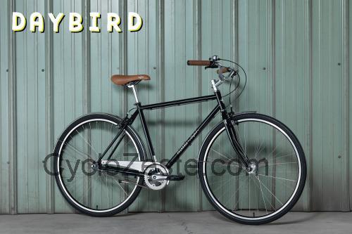 Fairdale Daybird avis et fiche technique 